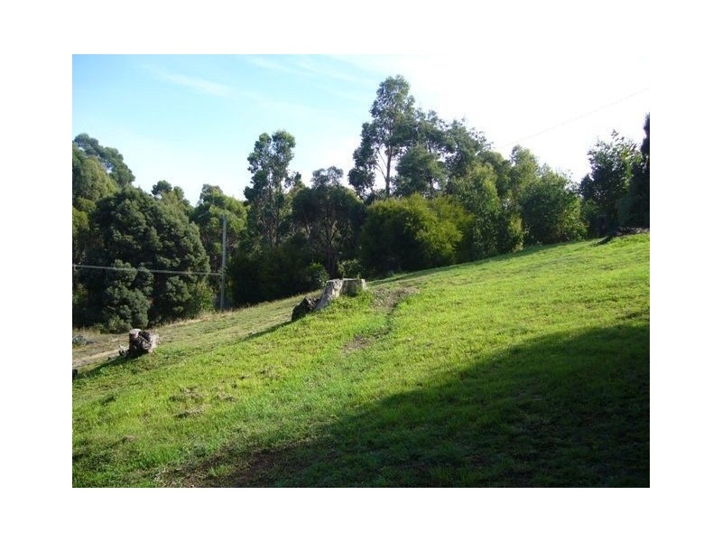 61 Deviation Road, Penguin TAS 7316