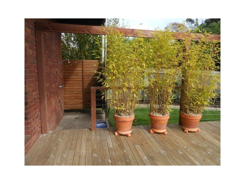 18 Seabreeze Avenue, Sulphur Creek TAS 7316