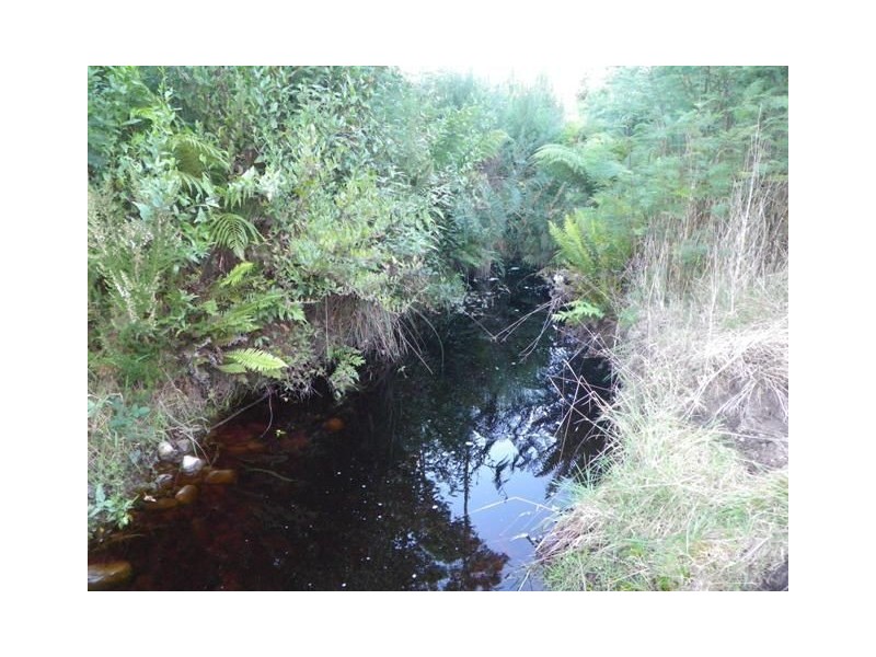 82 Dial Road, Penguin TAS 7316