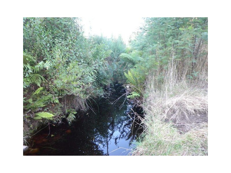 82 Dial Road, Penguin TAS 7316