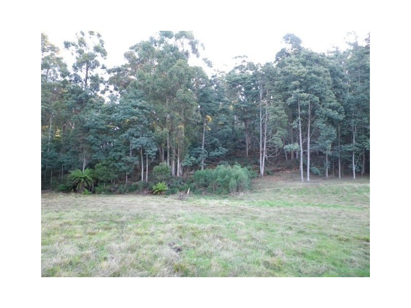 82 Dial Road, Penguin TAS 7316