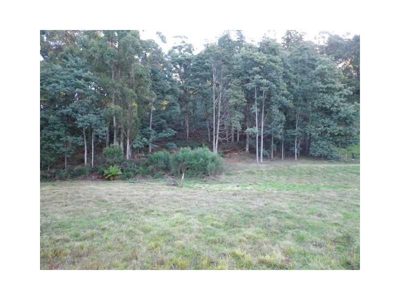 82 Dial Road, Penguin TAS 7316