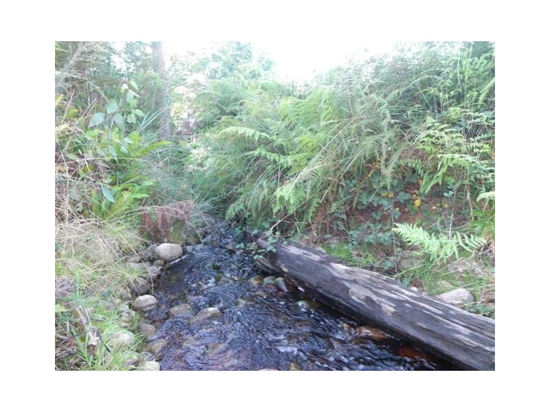 82 Dial Road, Penguin TAS 7316