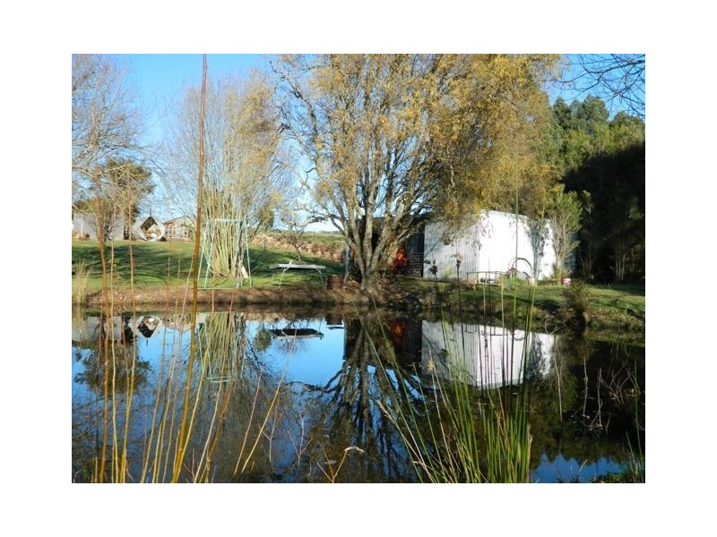 1259 South Riana Road, South Riana TAS 7316