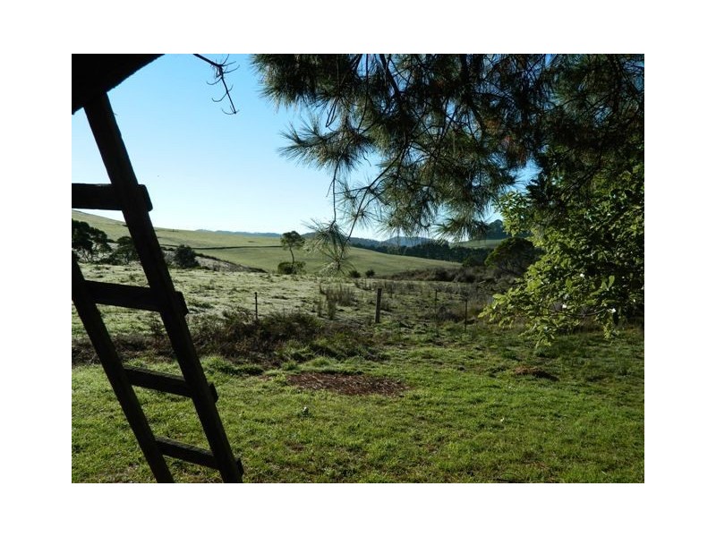 1259 South Riana Road, South Riana TAS 7316