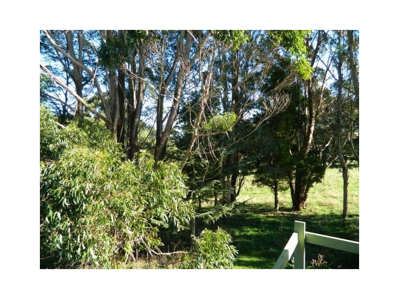 900 Cuprona Road, Cuprona TAS 7316