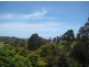 50B South Road, Penguin TAS 7316
