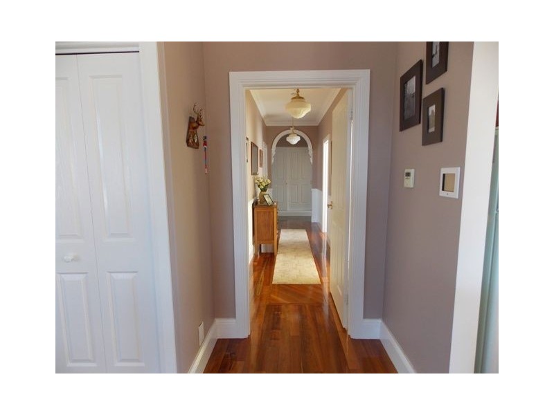 0 0, Penguin TAS 7316