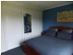 11 Evelyn Street, Penguin TAS 7316