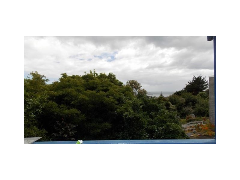 15 Quinn Street, Penguin TAS 7316