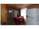 5 Dooley Street, Penguin TAS 7316
