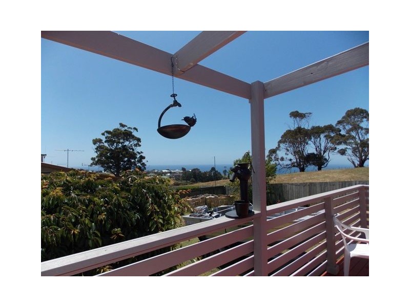 25 Pineleigh Street, Penguin TAS 7316