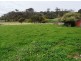 16 Short Street, Leith TAS 7315
