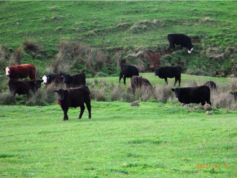 0 Clarkes Road, Preston TAS 7315