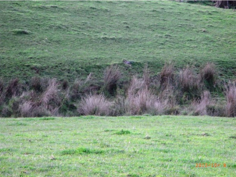 0 Clarkes Road, Preston TAS 7315