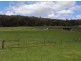 383 Mannings Jetty Road, North Motton TAS 7315