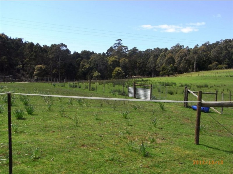 383 Mannings Jetty Road, North Motton TAS 7315