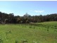 383 Mannings Jetty Road, North Motton TAS 7315
