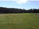 383 Mannings Jetty Road, North Motton TAS 7315