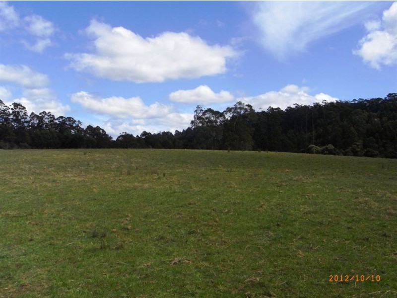 383 Mannings Jetty Road, North Motton TAS 7315