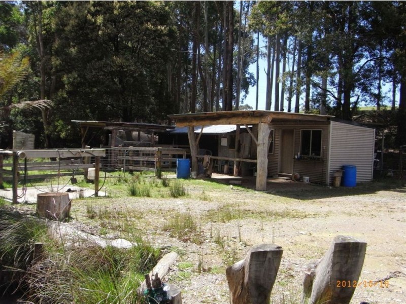 383 Mannings Jetty Road, North Motton TAS 7315