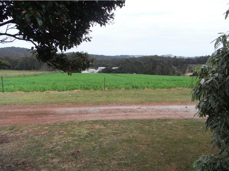 306 Mannings Jetty Road, North Motton TAS 7315