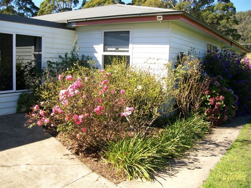 520 Wilmot Road, Forth TAS 7310