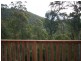 384 Geales Road, Kindred TAS 7310