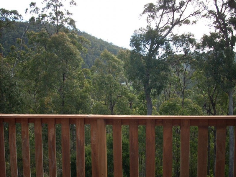 384 Geales Road, Kindred TAS 7310