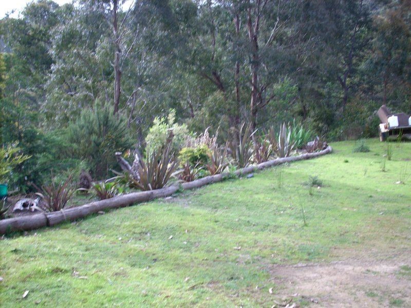 384 Geales Road, Kindred TAS 7310