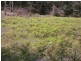 . Gunns Plains Road, Gunns Plains TAS 7315