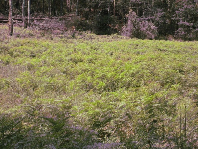 . Gunns Plains Road, Gunns Plains TAS 7315