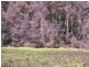 . Gunns Plains Road, Gunns Plains TAS 7315