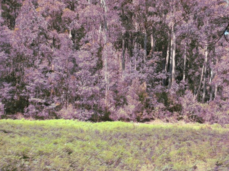 . Gunns Plains Road, Gunns Plains TAS 7315