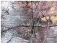. Gunns Plains Road, Gunns Plains TAS 7315