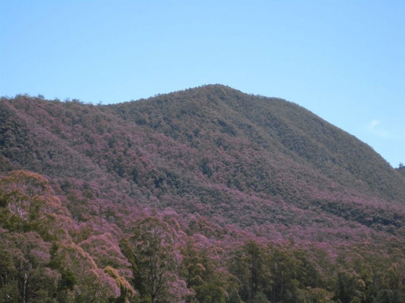 . Gunns Plains Road, Gunns Plains TAS 7315