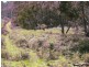 . Gunns Plains Road, Gunns Plains TAS 7315