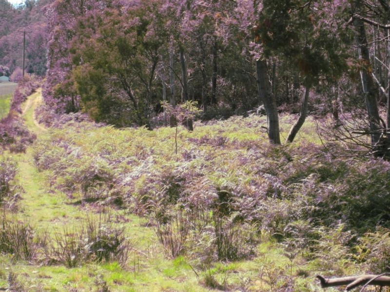 . Gunns Plains Road, Gunns Plains TAS 7315
