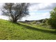 Lot 7 Brookevale Road, Ulverstone TAS 7315