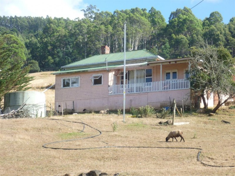 1730 South Riana Road, Gunns Plains TAS 7315