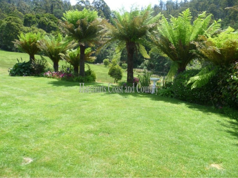 19 Bannons Bridge Road, Gunns Plains TAS 7315