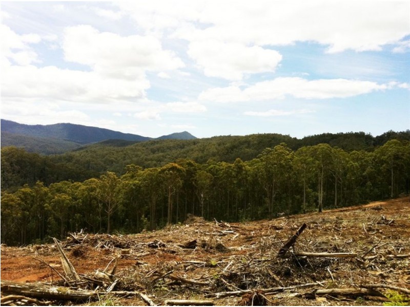 Lot 4 Harveys Road, North Motton TAS 7315