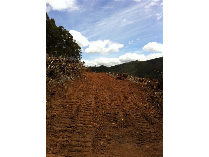 Lot 4 Harveys Road, North Motton TAS 7315