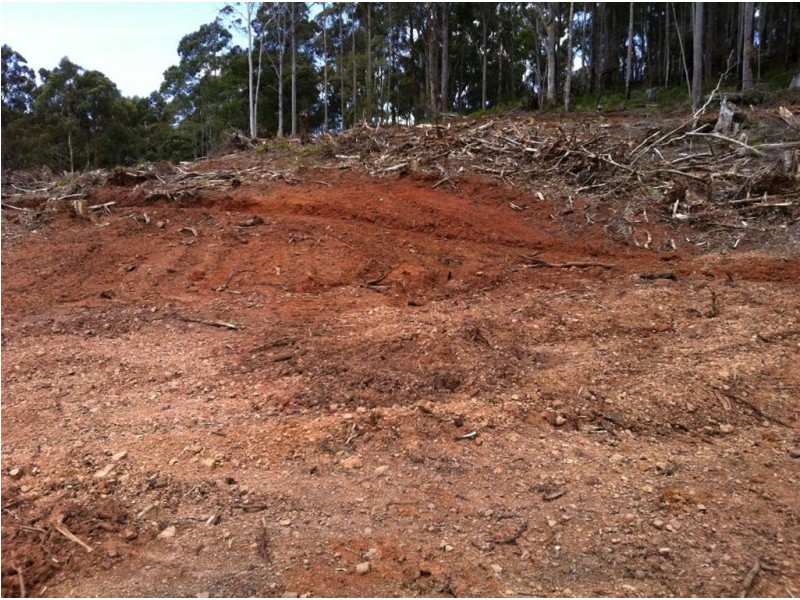 Lot 4 Harveys Road, North Motton TAS 7315