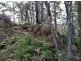 Lot 4 Harveys Road, North Motton TAS 7315