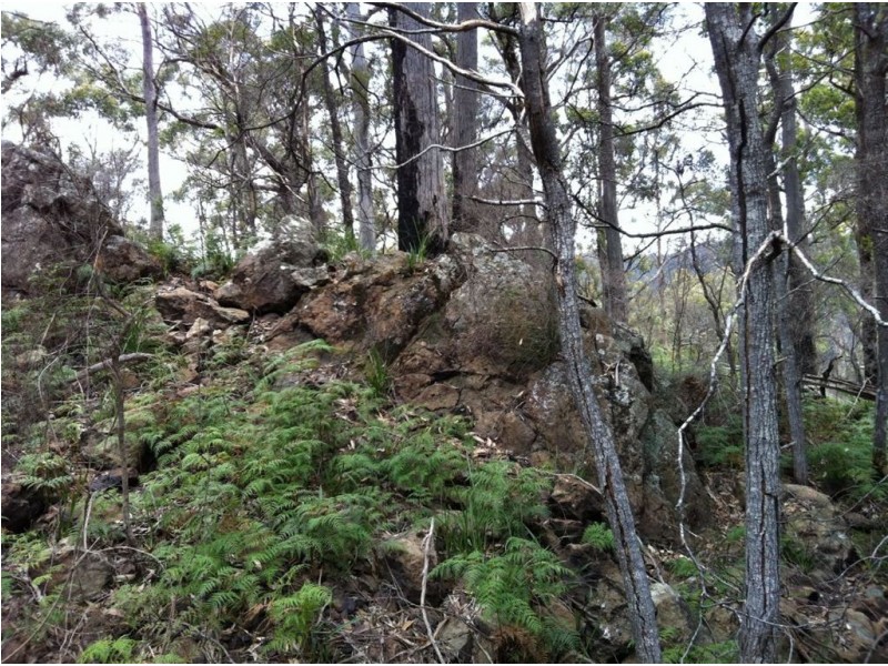 Lot 4 Harveys Road, North Motton TAS 7315