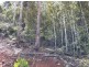 Lot 4 Harveys Road, North Motton TAS 7315