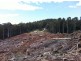 Lot 4 Harveys Road, North Motton TAS 7315