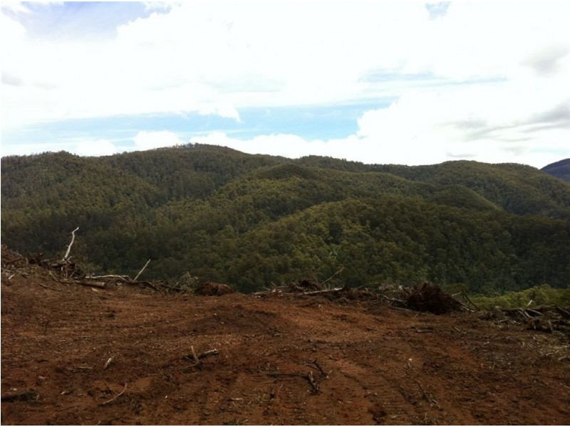 Lot 4 Harveys Road, North Motton TAS 7315