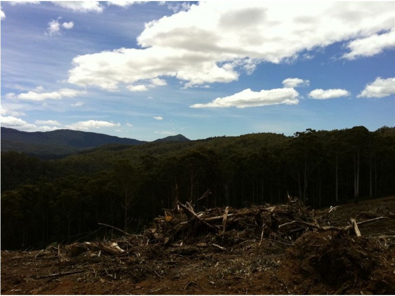 Lot 4 Harveys Road, North Motton TAS 7315